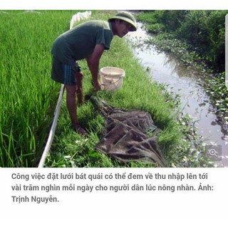 LƯỚI BÁT QUÁI 8 CỔNG BẮT CÁ