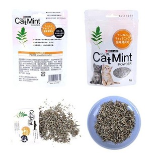 Cỏ Catnip cho mèo( cỏ bạc hà)