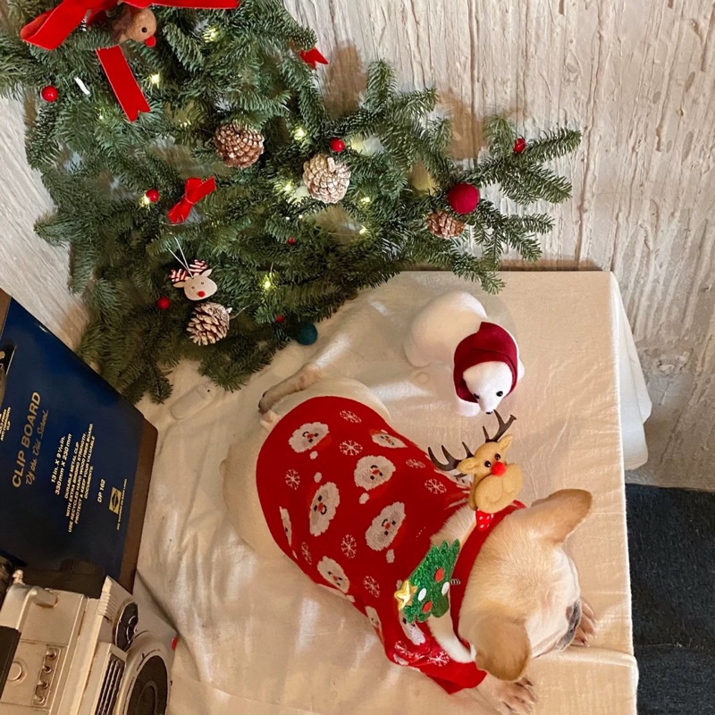 ÁO LEN NOEL CHO THÚ CƯNG