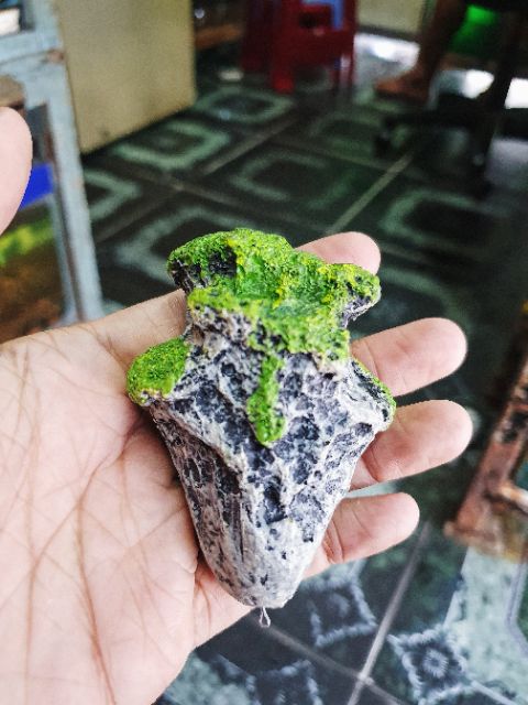 ĐÁ NỔI TREO DÀI 8CM RỘNG 5CM TRANG TRÍ HỒ CÁ NON BỘ