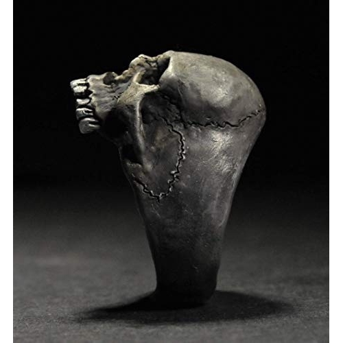 Nhẫn Hình Đầu Lâu Bằng Thép Không Gỉ Dành Cho Nam