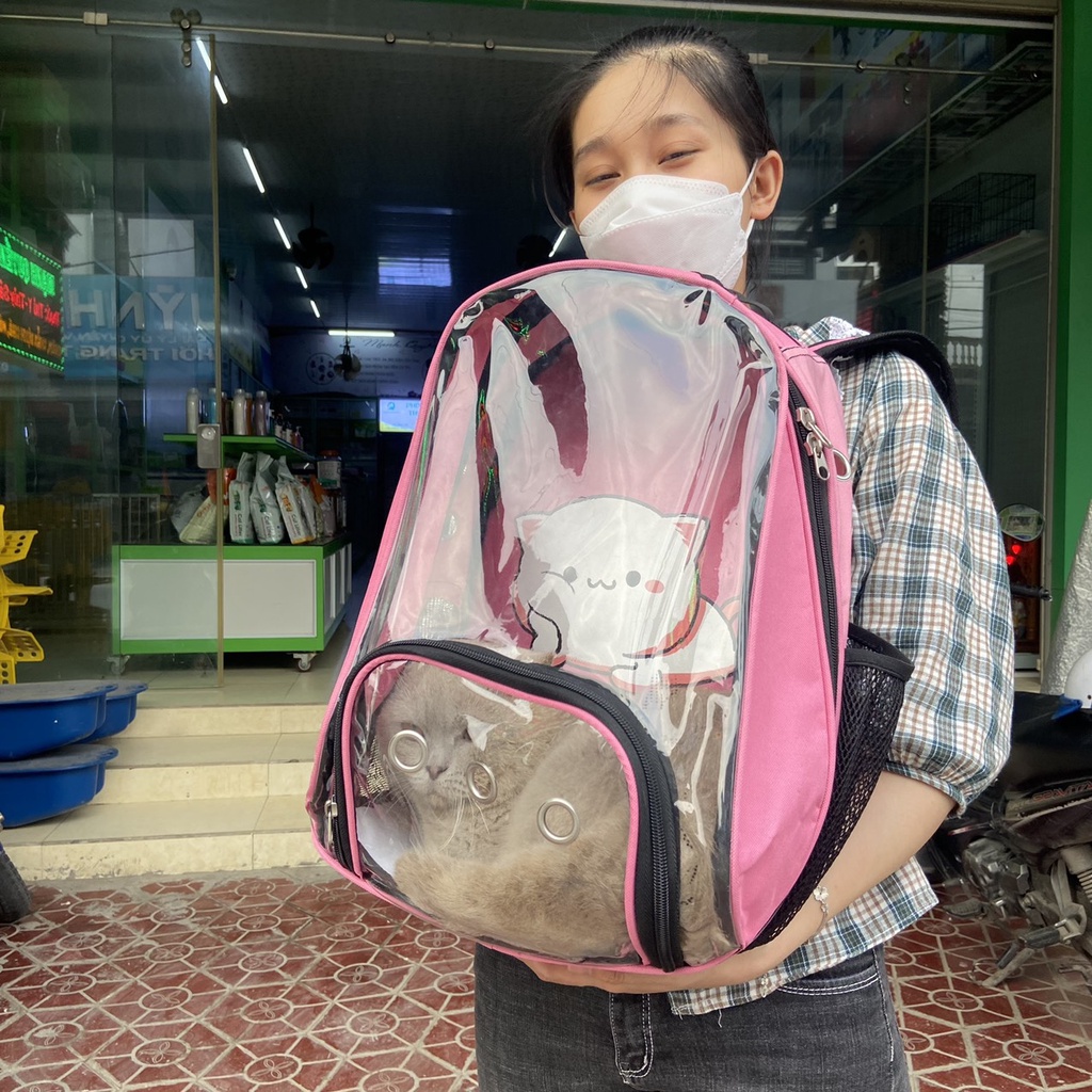 Balô Mèo Phi Hành Gia, Balo Chó Mèo Nắp Trong Suốt Hình Bọ Rùa