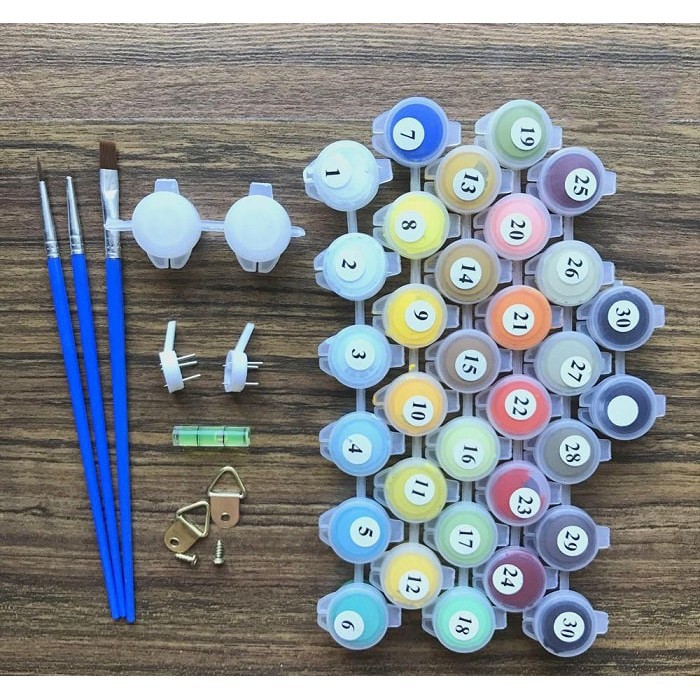 Tranh Sơn Dầu Số Hóa Cô Gái Tự Tô Màu Theo Số N071 Kích Thước 40x50 | BigBuy360 - bigbuy360.vn