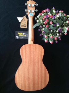 Đàn Ukulele Concert MT-1000 CB2