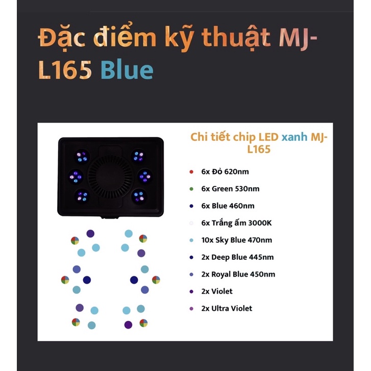 Đèn Led cho hồ cá biển, san hô Maxspect MJ-L165 và Maxspect MJ-L165 Blue