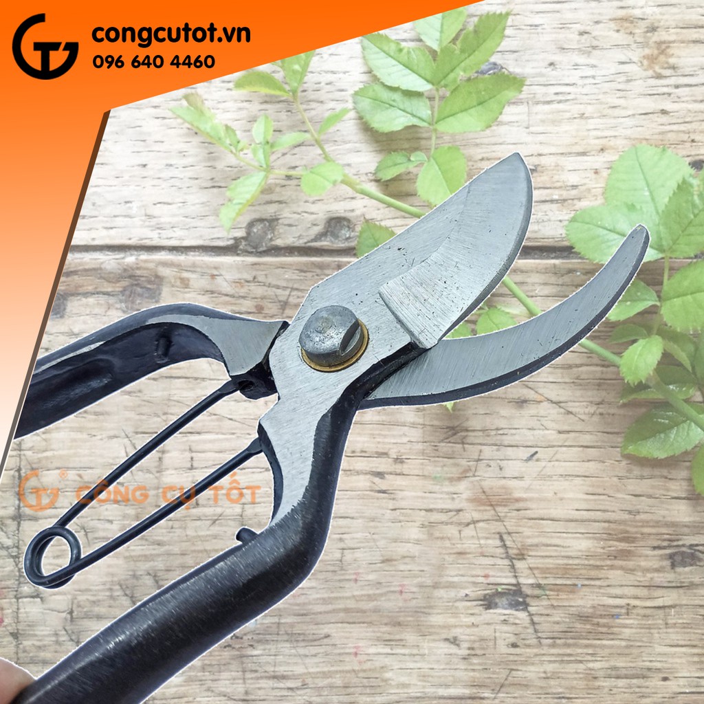 Kéo cắt cành bon sai 200mm  Nhật Bản Tree Hand 601250