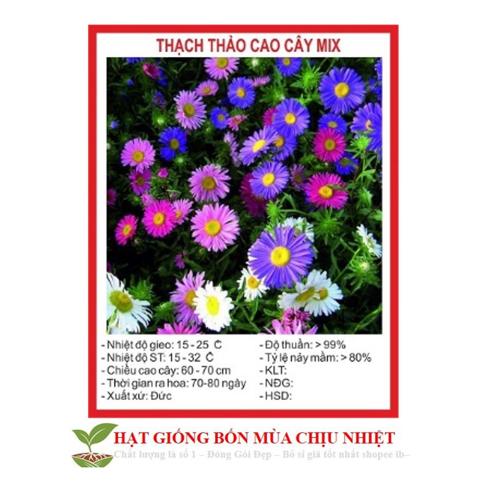 Hạt Giống Hoa Thạch Thảo Lùn Mix 50 Hạt ĐẾN MÙA TRỒNG TẾT luckyseed hạt siêu rẻ