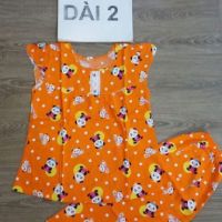 Combo 4 bộ tole dài 2