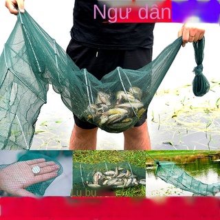 Lưới tôm hùm, lưới tôm hùm, lưới tôm hùm