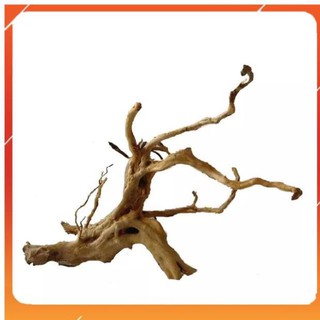 Lũa thô trang trí cho bể cá cảnh