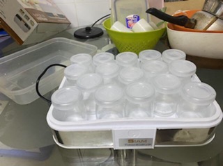 Máy làm sữa chua SIAM 16 cốc