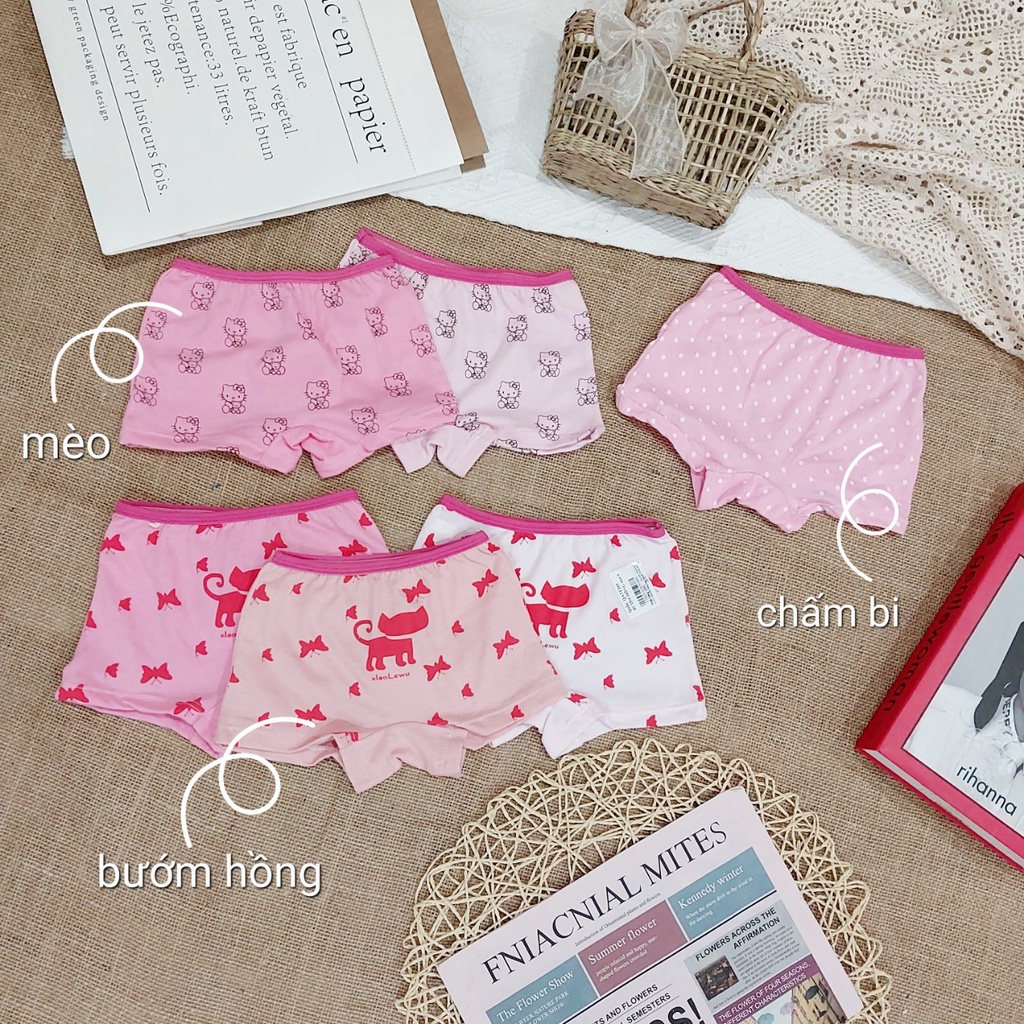 Quần chip bé gái - Quần lót bé gái xinh xắn AM265 TTR137
