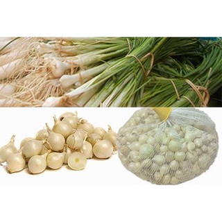 củ nén- hành tăm 500 gr