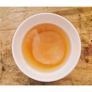 Con giống SCOBY làm KOMBUCHA