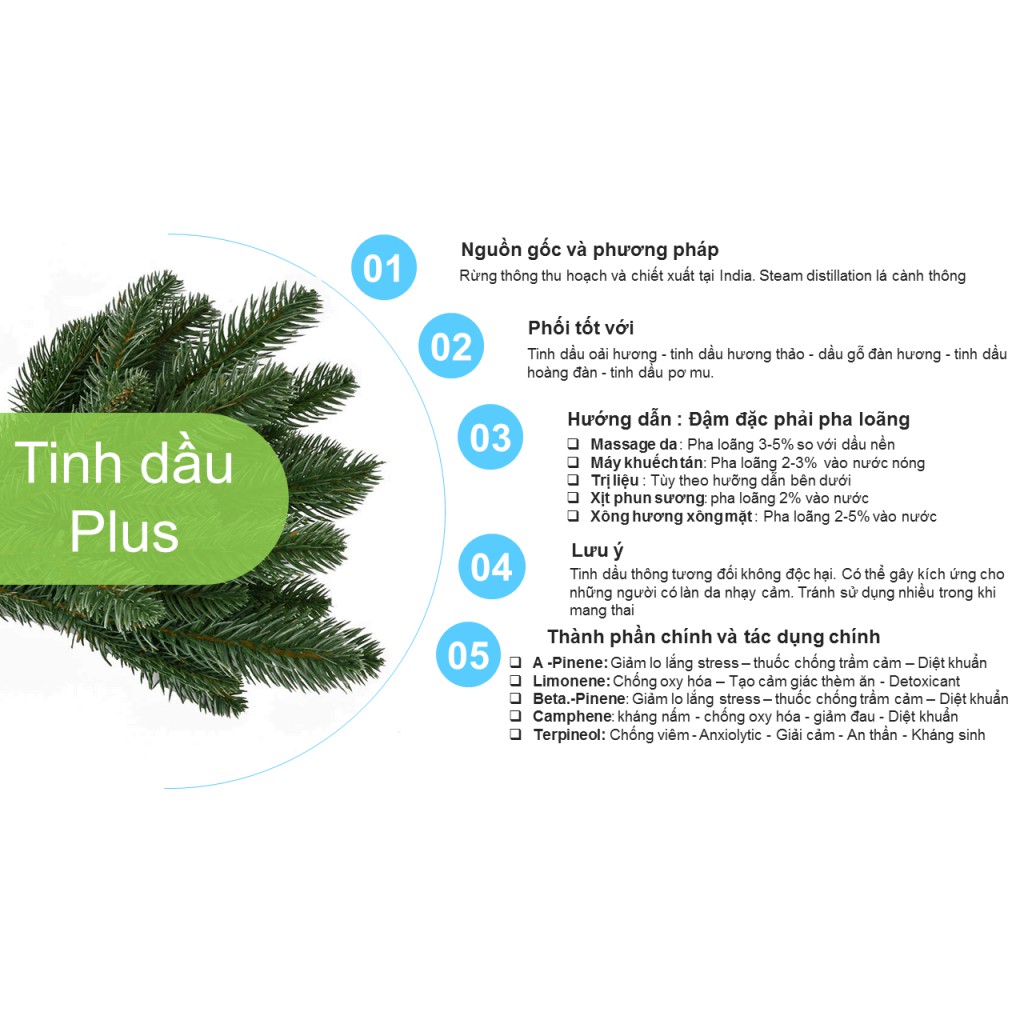 Tinh dầu thông plus 20ml – Pine EO nguyên chất thiên nhiên Ấn Độ – Thiền định, tập trung