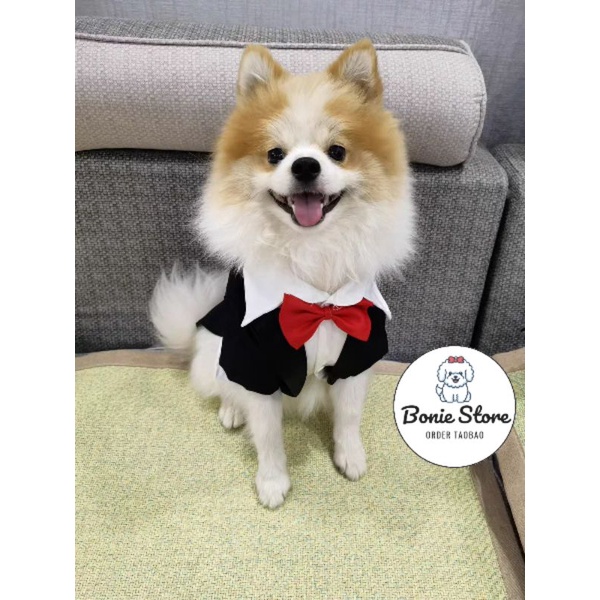 Áo Vest Cho Chó Mèo Thú Cưng, Áo Chú Rể Cho Chó Mèo, Sơ Mi Đính Nơ Cổ Chó Chó Mèo Đực