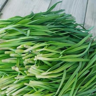 1gram HẠT GIỐNG HẸ