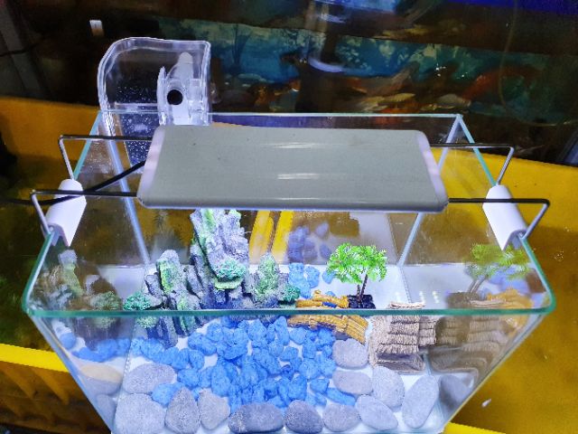 COMBO HỒ CÁ TRANG TRÍ SẴN 30x19x21cm 770