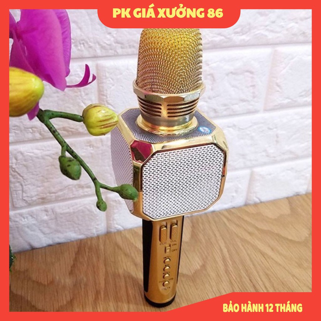 Micro Bluetooth Karaoke kèm loa SD10 - Chất lượng âm thanh hay, Thu Âm Tốt