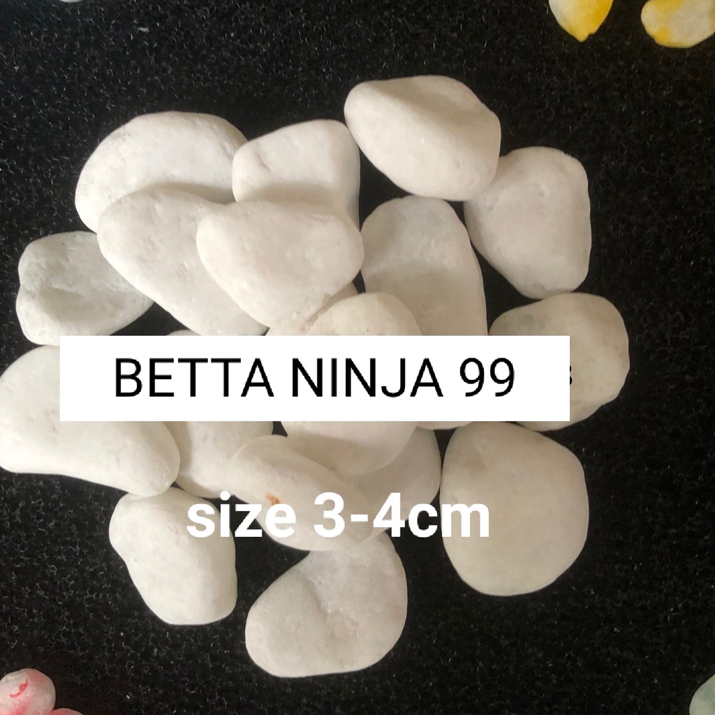 Nhiều màu - Nhiều size ] Đá sỏi trang trí sân vườn , hồ cá, HỒ THỦY SINH, BỂ CÁ