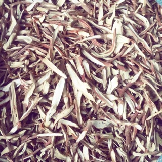 Sâm cau rừng khô đẹp 500g