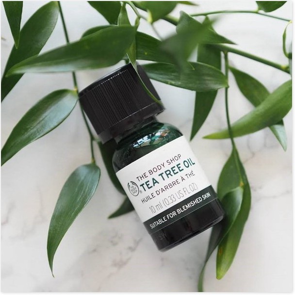 [Mã giảm giá mỹ phẩm chính hãng] Tinh dầu trà The Body Shop Tea Tree Oil