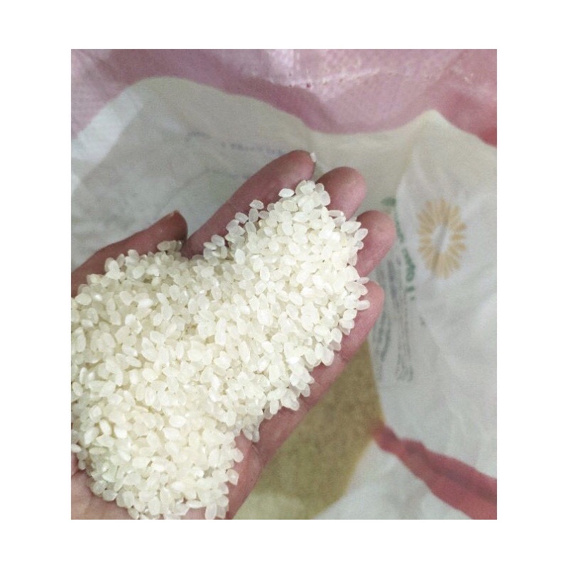 Gạo nhật japonica gạo a an túi 5kg - ảnh sản phẩm 3