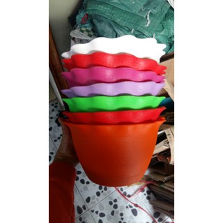 5 chậu nhựa ốp tường trồng cây