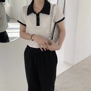 áo polo croptop cổ màu