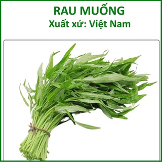 Hạt Giống Rau Muống Chọn Lọc Lá Tre (100g)
