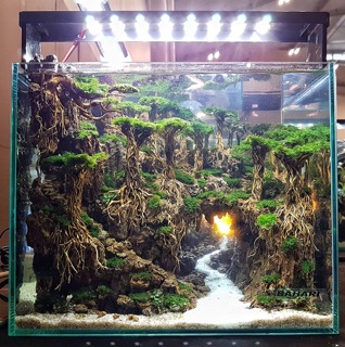 Bộ Lũa  layout Rừng Bay 50x35cm