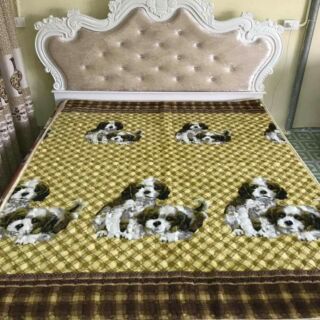 Combo 1 thảm m6 và 1 thảm m8
