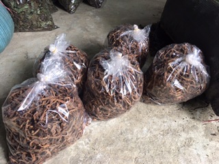 1 Kg Cốt Toái Bổ Khô (Tắc Kè Đá)