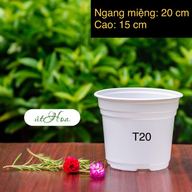 [ Sỉ từ 20 cái ] Chậu nhựa trắng T20 (20x15 cm) trồng cây, trồng hoa Nhựa cao cấp