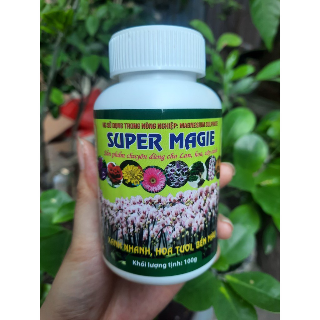 Super Magie phát triển Đỉnh Ngọn CỰC MẠNH dạng 100g