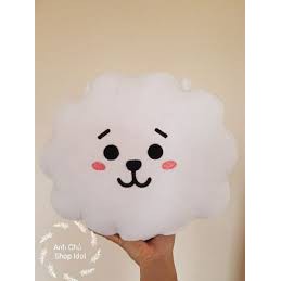 Gối ôm 30*40cm BT21