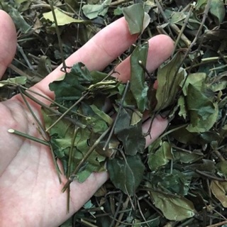 [Freeship] CHÈ VẰNG SẺ SAO VÀNG HẠ THỔ