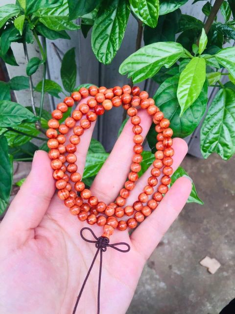 Vòng tràng hạt tròn 8 ly gỗ huyết long - 108 hạt