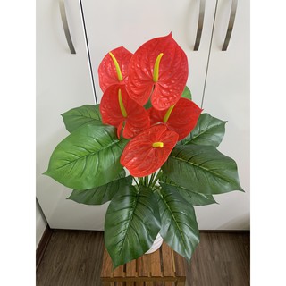 Cây giả- Cây môn đỏ 70cm