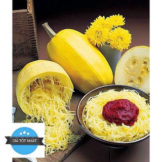 7h Hạt Giống Bí Sợi Mì Ý Spaghetti