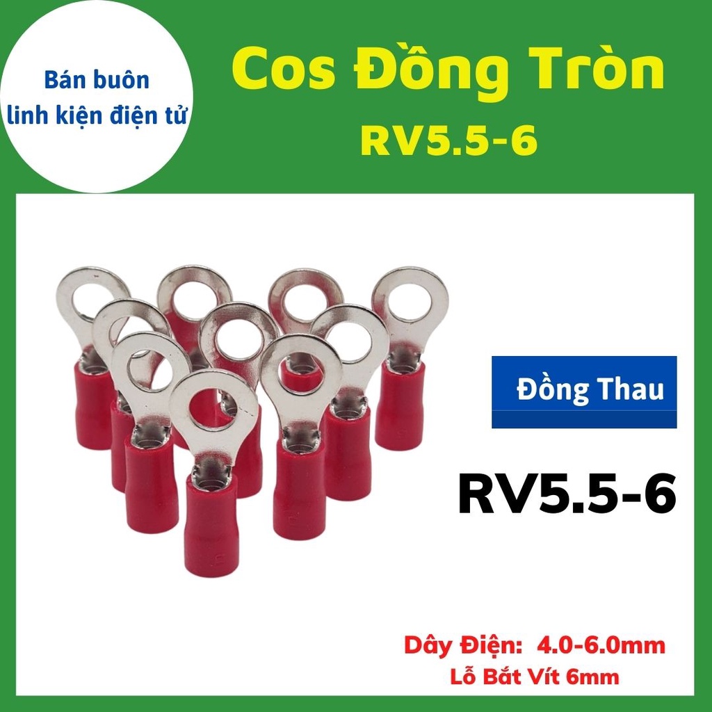 500 Cos tròn 5.5-4, đầu cos tròn, đầu cos chữ o, RV5.5-4