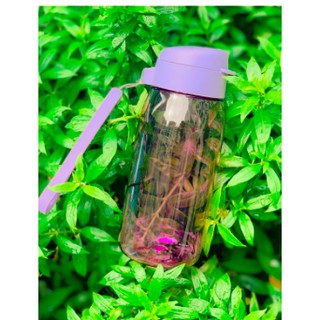 Bình nước Lohas 550ml