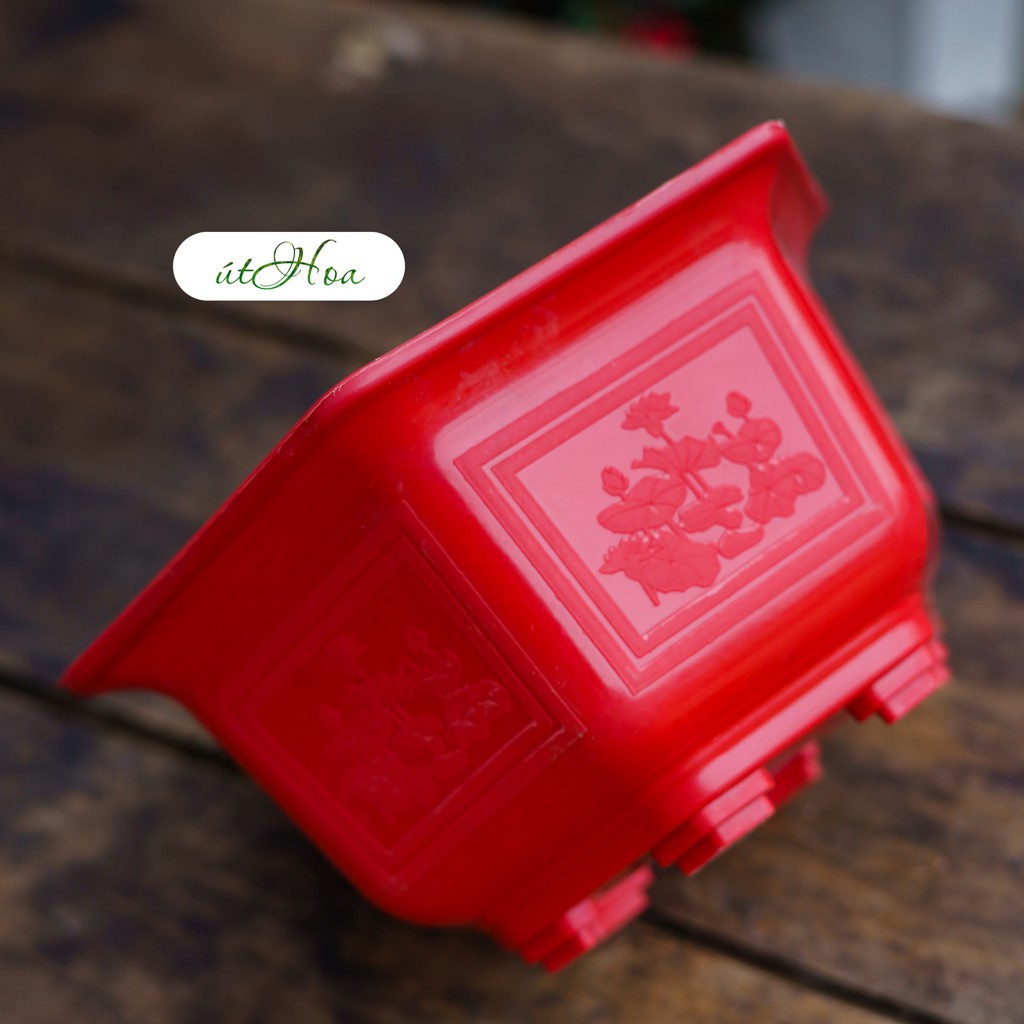 Chậu lục giác FAC trồng hoa kiểng Tết màu đỏ size 22cm