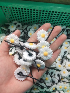 kẹp tăm bông cúc trắng