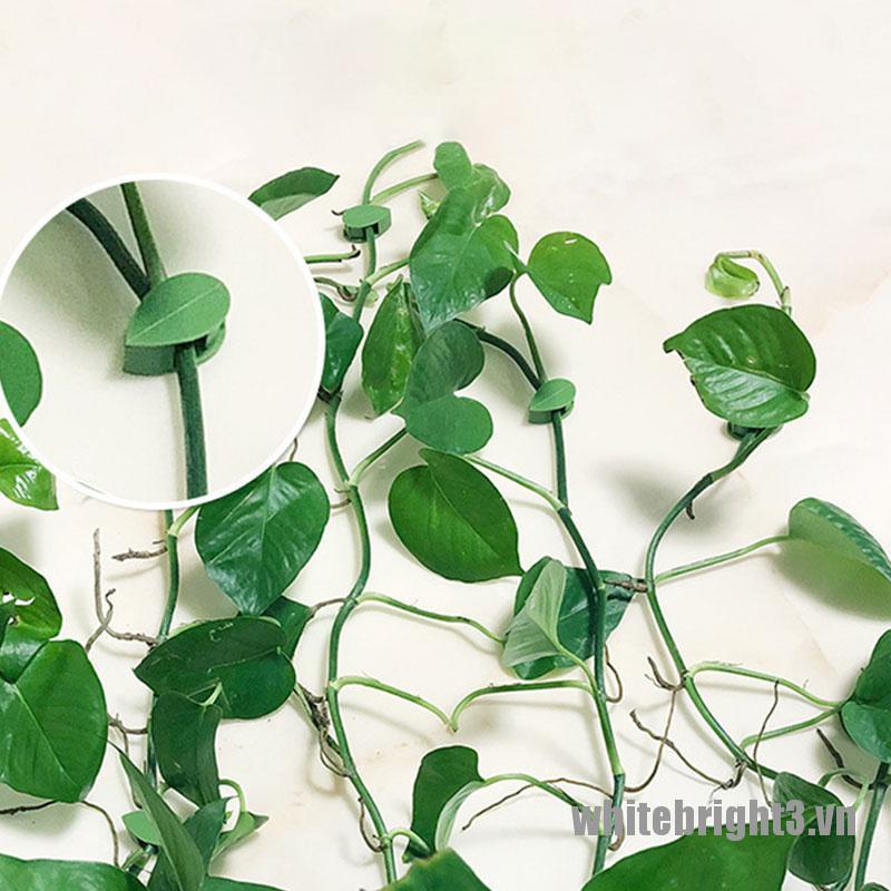 Bộ 10 Kẹp Cố Định Cây Leo Tự Dính Tiện Dụng