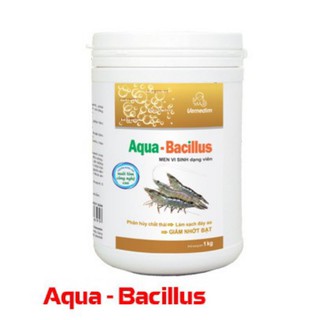 Aqua Bacillus tôm, men vi sinh dạng viên phân hủy chất thải, làm sạch đáy ao tôm, giảm nhớt bạt