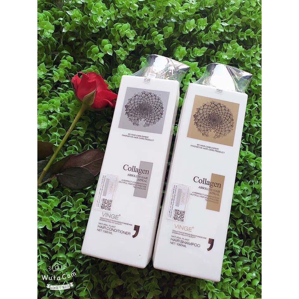 [Chính Hãng] Cặp Dầu Gội Xả Collagen Vinge 1000ML, Giảm Rụng Tóc, Ngăn Rụng Tóc,Phục Hồi Tóc Hư Tổn | BigBuy360 - bigbuy360.vn