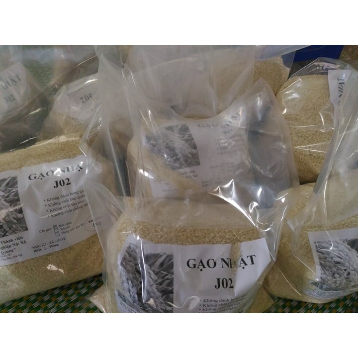 Gạo Nhật J02 túi 5kg | BigBuy360 - bigbuy360.vn