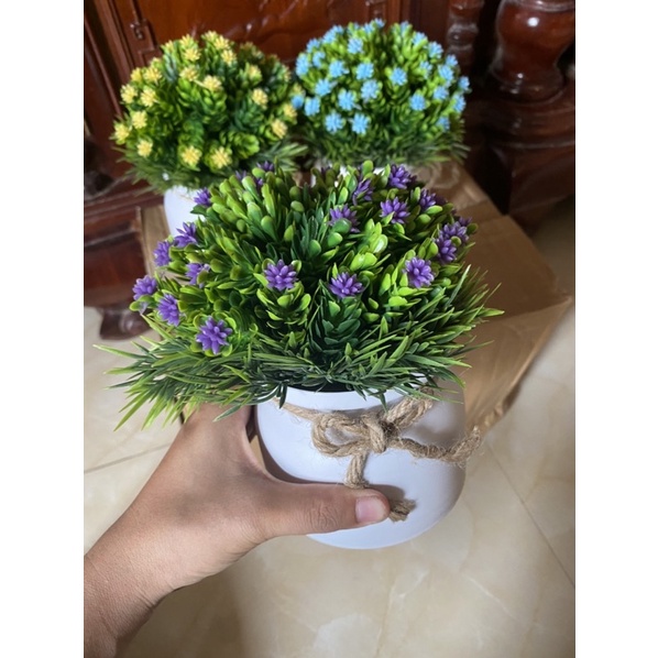 Hoa trang trí để bàn decor siêu xinh