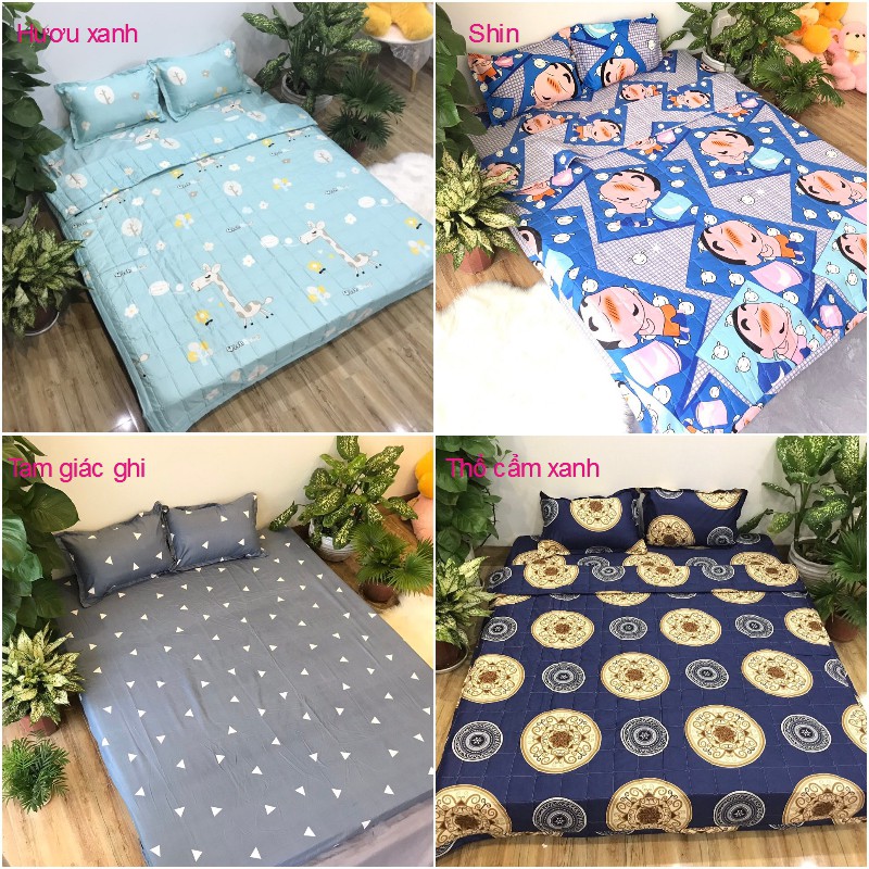 Bộ vỏ chăn ga gối poly cotton trong nước (tất cả các mẫu) - drap trải giường